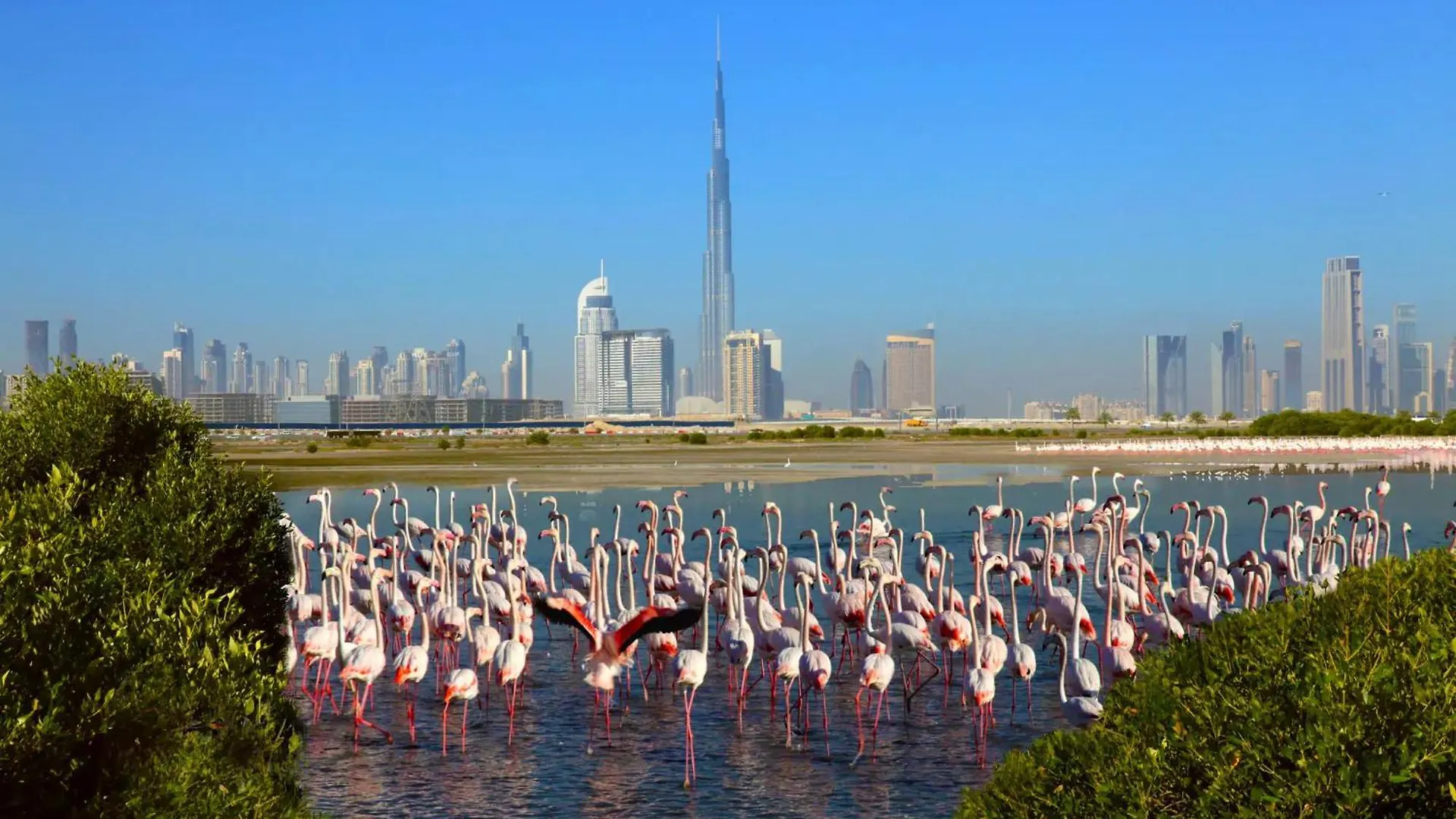 Manzil - 2Br Family Styled Apartment In Dubai Creek With Beach Access